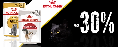 Sconto del 30% sul cibo umido per gatto Royal Canin